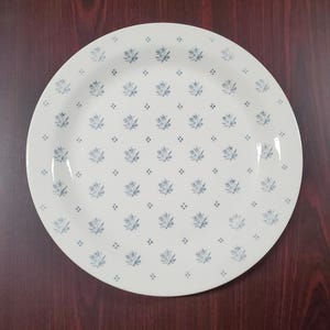 VINTAGE Royal China Company Speiseteller | Andenken-Muster