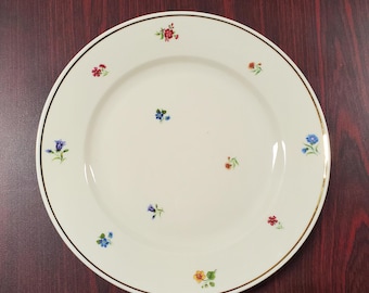 Vintage Johann Haviland JOH67 Country Basket Stoneware Dinner