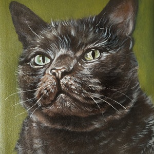 Hand painted cat portrait custom, cat portrait painting, Cat portrait, pet portrait from photo, cat portrait from photo, ready to hang art image 10
