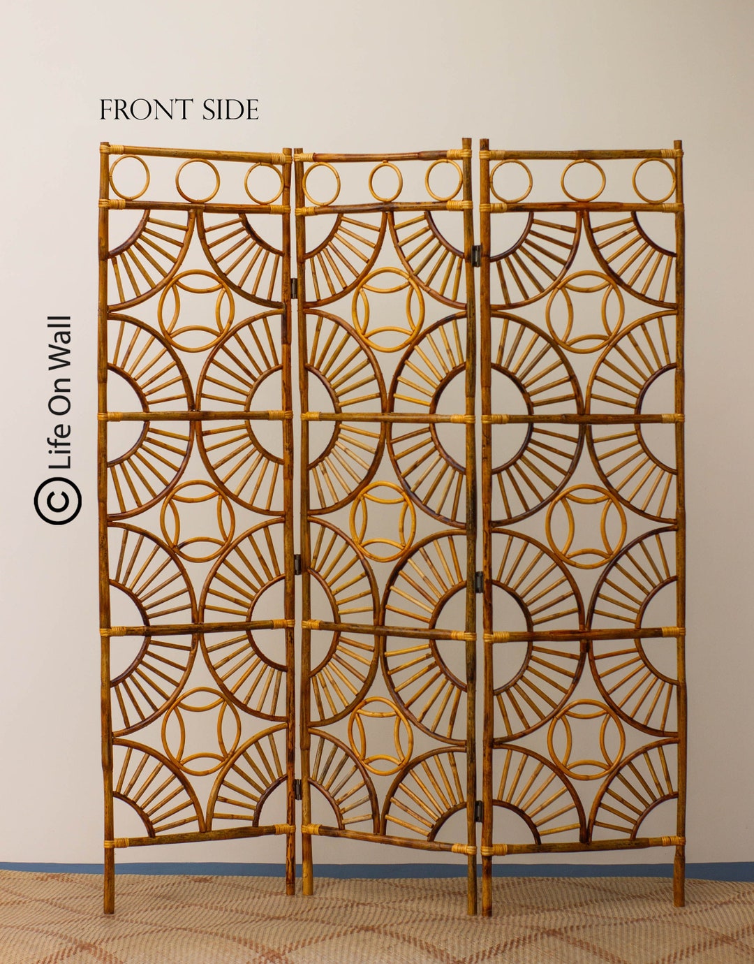 Cane Room Divider, Handcrafted Cane Partition, Rattan Cane Screen, 3