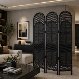 May include: A black, three-panel room divider with an arched top and woven rattan design. The divider stands on a light-colored rug in a modern living room setting. The room features a sofa, artwork, and decorative plants.