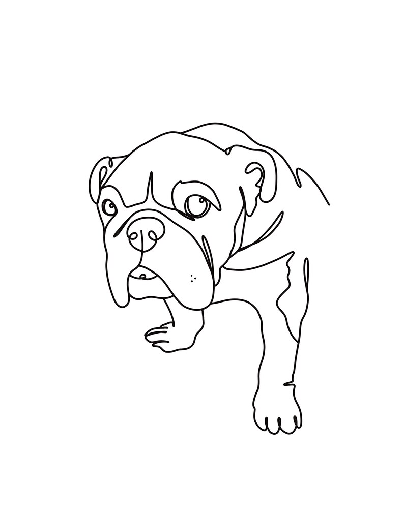 Anpassad linjeteckning av husdjur, porträtt av husdjur med en linje, digitalt porträtt, utskrivbar digital konst, digital illustration, vektorkonst bild 7