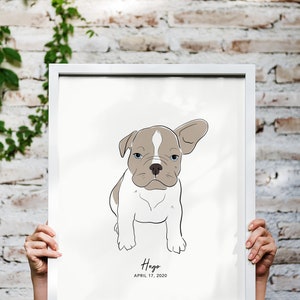 Pode incluir: Ilustra&ccedil;&atilde;o emoldurada de um filhote de buldogue franc&ecirc;s com pelagem branca e castanha, olhos azuis e uma orelha levantada. O nome "Hugo" e a data "17 de abril de 2020" est&atilde;o impressos abaixo. A moldura &eacute; branca.