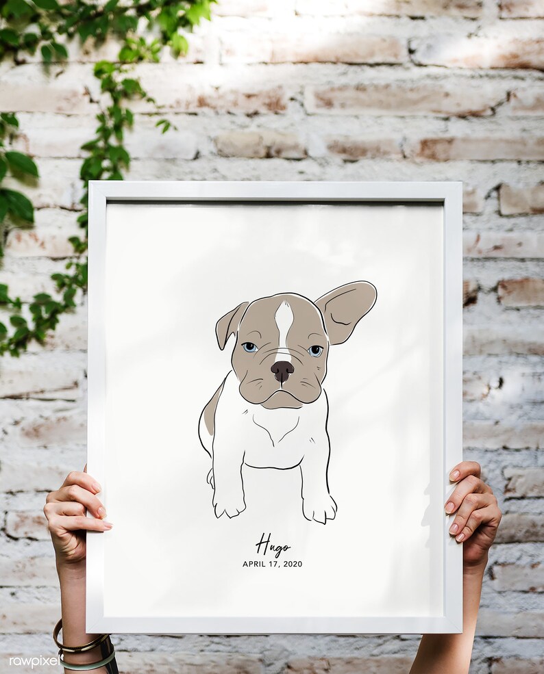 Pode incluir: Ilustra&ccedil;&atilde;o emoldurada de um filhote de buldogue franc&ecirc;s com pelagem branca e castanha, olhos azuis e uma orelha levantada. O nome "Hugo" e a data "17 de abril de 2020" est&atilde;o impressos abaixo. A moldura &eacute; branca.