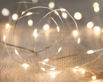 LED String Fairy  light Silver Wire warm white Garden/ Home/Christmas/Wedding Party Decoration