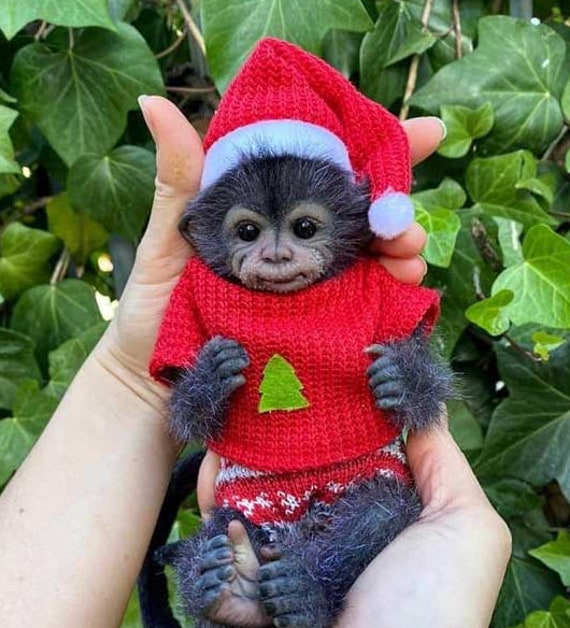 Reborn monkey kits sale