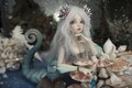 BJD mermaid doll 1/4 BJD fantasy Doll Handmade Art Doll for Collection, crap doll mosquito doll ooak monster Dolls Resin for diy product logo