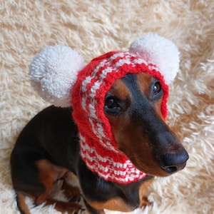 Christmas Pet Hat: Wool Snood with PomPoms, Small Dog Gift
