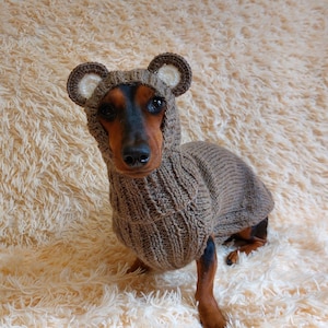 Bear Costume Made of Alpaca Wool for Dogs Dachshund Bear Set Sweater and Hat Etsy