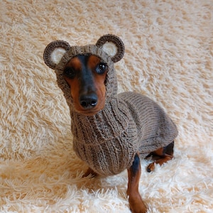 Bear costume made of alpaca wool for dogs, dachshund bear set sweater and hat