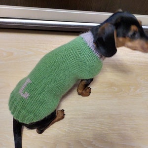 Personalized dog sweater with initials, dog clothes with letter of name, dog clothes with initials, monogram dog sweater