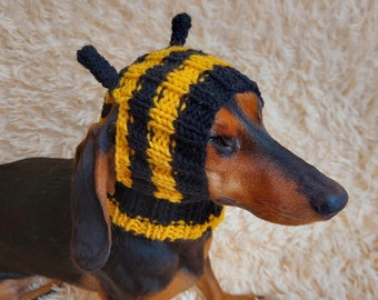 Bumble Bee Dog Hat, halloween photo shoot for dog hat bee, bee clothing for pets