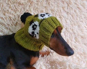 Handmade knitted panda hat for dachshund dog