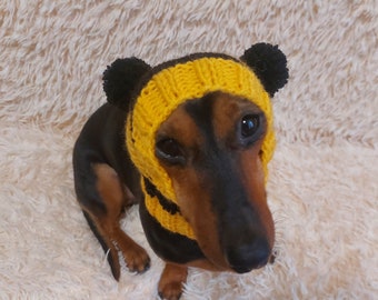 Pet clothes bee hat, bee hat for dogs, halloween bee hat for dachshund dog