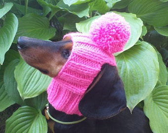 Hat for dog with pompom and holes for the ears