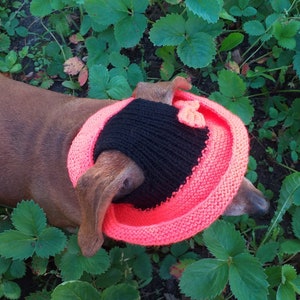 Summer knitted hat for dogs, panama for dogs,  hat for dogs, hat for dachshund, accessories for dogs, gift for dogs, dog clothes,hat the sun