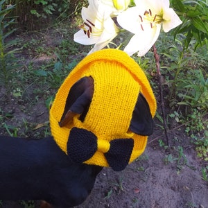 Summer knitted hat for dogs, panama for dogs,  hat for dogs, hat for dachshund, accessories for dogs, gift for dogs, dog clothes,hat the sun