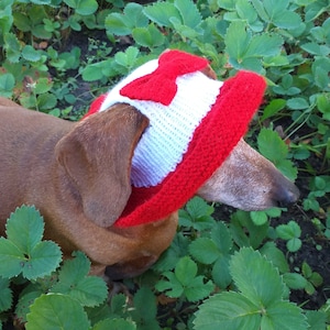 Summer knitted hat for dogs, panama for dogs,  hat for dogs, hat for dachshund, accessories for dogs, gift for dogs, dog clothes,hat the sun