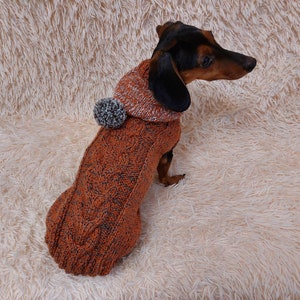 Knitted Hooded Dog Sweater: Wool Blend Dachshund Clothes