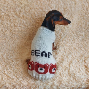 Personalized Dog Sweater with bear and Dog Name, Dachshund Clothes with Personalized Name, Pet Gift with Name