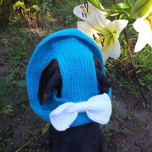 Summer knitted hat for dogs, panama for dogs,  hat for dogs, hat for dachshund, accessories for dogs, gift for dogs, dog clothes,hat the sun