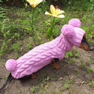 ウサギの犬のコスチューム セーターとポンポン付き帽子、イースターの服 コスチューム ウサギ バニー ポンポン付き