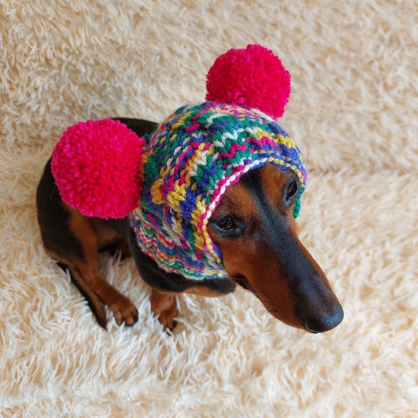 Dog hat with two pom poms wool, warm hat for dachshund, wool hat for small dogs