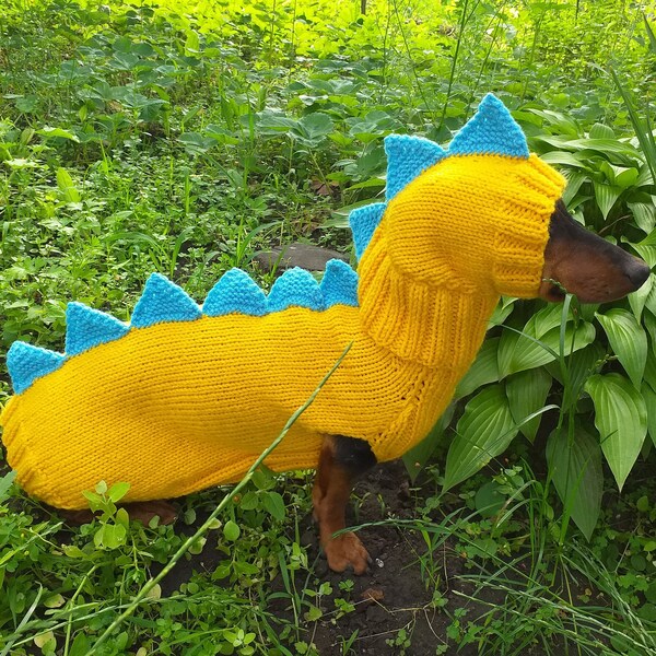 Dinosaur Costume for Dogs Etsy