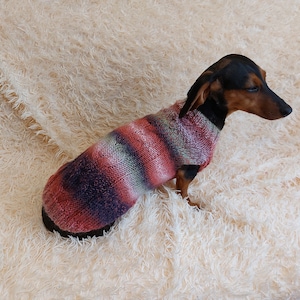 Knitted Dachshund Sweater: Warm Wool Blend Puppy Clothes