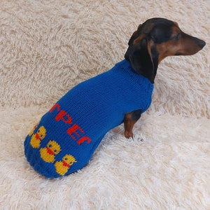 Personalized Dog Sweater with Ducks and Dog Name, Dog Clothes with Personalized Name, Pet Gift with Name