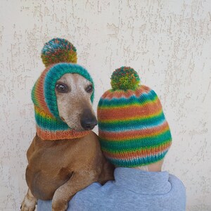 Set of warm wool hats with pom-pom for mom and dachshund, set of knitted hats with pom-pom for hostess and dog image 1