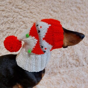 Christmas pudding dog costume sales