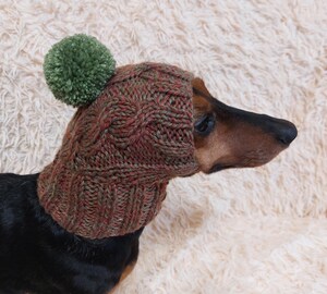 Bonnet Tricoté Avec Motif Teckel Brodé - Doublure Polaire, Pompon - Cadeau Pour Propriétaire De Chien, Homme/femme