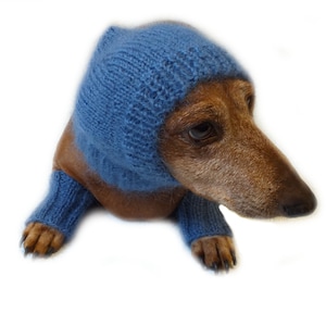 Conjunto de polainas y gorro para perros de mohair, polainas y gorro para teckel, calentadores de patas y cabeza para perros, calentadores de piernas para perros