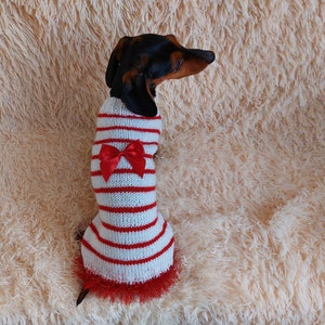 Red and white pet sweater with a bow, clothes with a bow for a mini dachshund