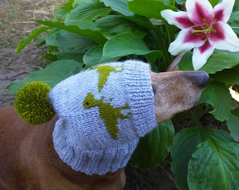 Dinosaur hat for dog, hat with dinosaur dog clothes
