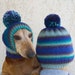 see more listings in the Hat mom and dog section