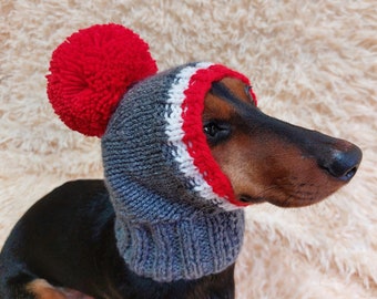 Monkey pet hat with big pompom, warm winter dog hat with pompom