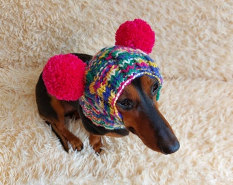 Dog hat with two pom poms wool, warm hat for dachshund, wool hat for small dogs