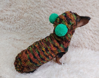 Warm bright outfit for pets hoodie with pompoms, dog dachshund bright hoodie with pompoms