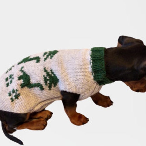 Dinosaur Knitted Sweater for Dachshund or Small Dog Dinosaur Etsy