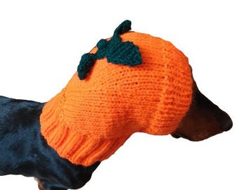 Hat dog pumpkin, hat for dachshunds Halloween pumpkin