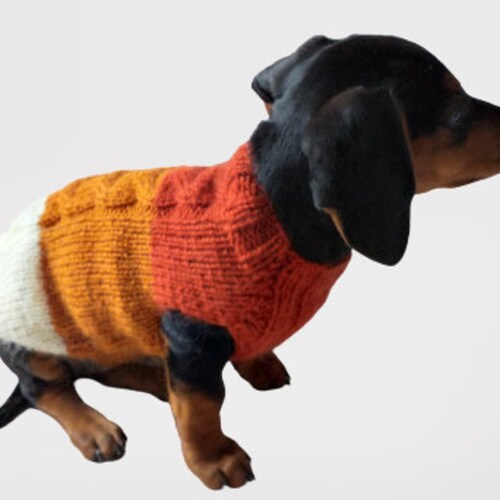 Dinosaur Knitted Jumper for Small Dogs Dinosaur Sweater for Etsy