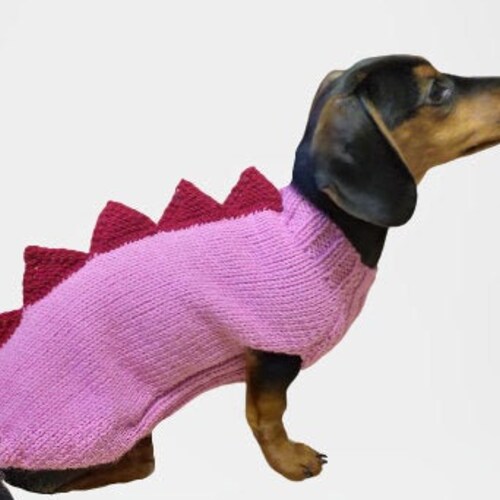 Dinosaur Knitted Jumper for Small Dogs Dinosaur Sweater for Etsy