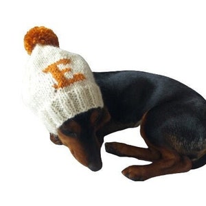 Personalized dog hat with initials, dog clothes with letters name, dog clothes with initials, dog clothes monogram hat