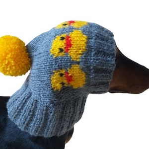 Duck clothes hat for dachshund or small dog