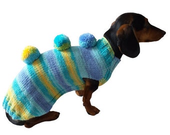 Bright sweater with pompoms for wiener dog, Mini Dachshund Jumper, Clothes Dog Sweater, Sweater for miniature dachshund or small dog.