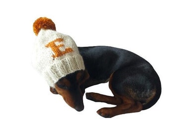 Personalized dog hat with initials, dog clothes with letters name, dog clothes with initials, dog clothes monogram hat