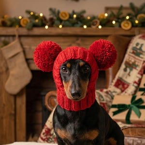 以下が含まれることがあります： 赤いニット帽をかぶった黒と茶色のダックスフント。犬は白いニットの表面に座っており、背景には暖炉とクリスマスの装飾があります。