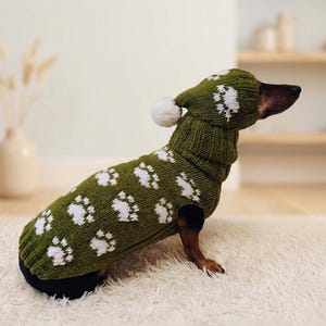 ダックスフンド用の足、服、帽子、セーターが付いた犬用コスチューム
